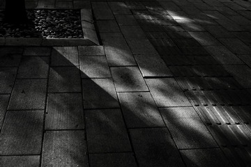 52B079FF-0158-4AD6-BA4F-B9E1004F6C14/L0/001