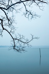 19296660-97E0-4B7C-B630-A4C143BD882A/L0/001