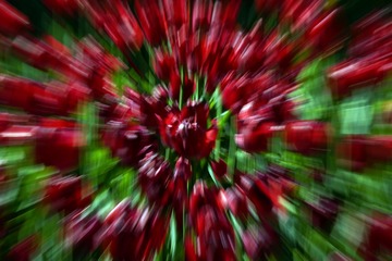 4381926