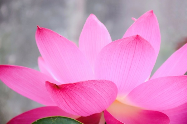 卢阳阳的最新作品