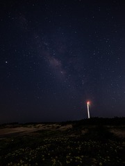 2600794