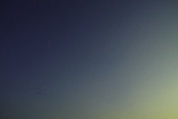 SDIM7444