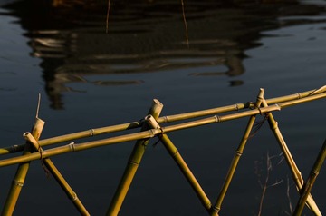 _DSC0495