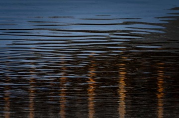 _DSC0497