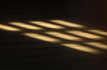 _DSC0506