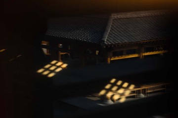 _DSC0514