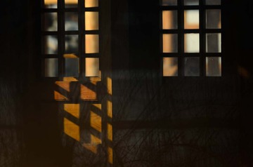 _DSC0523