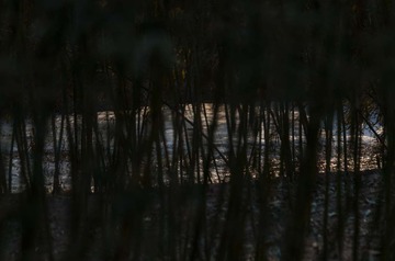 _DSC0528