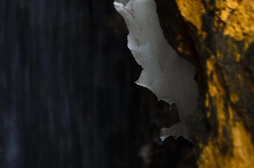 _DSC0541_1
