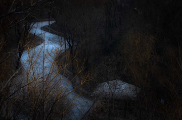 _DSC0565
