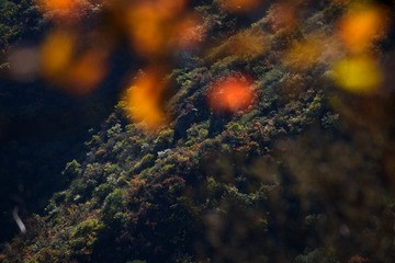 _DSC2674