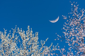 _DSC3329x