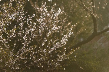 _DSC3456xx