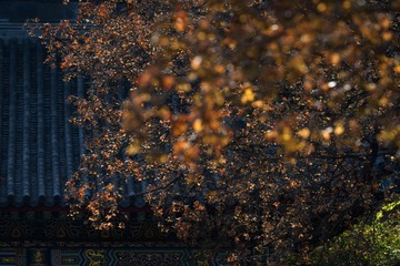 _DSC5777