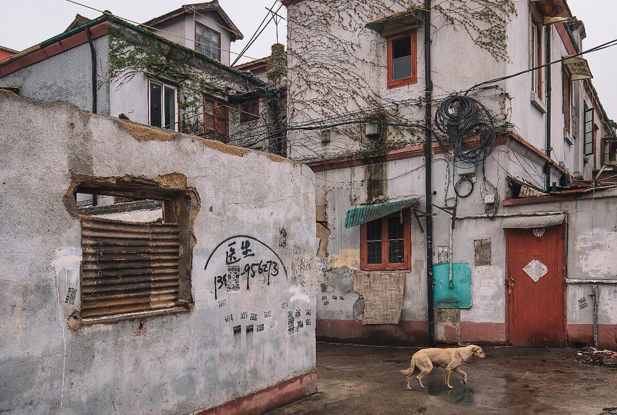 2016年4月3日，上海，杨浦区等待拆迁的老弄堂一角。