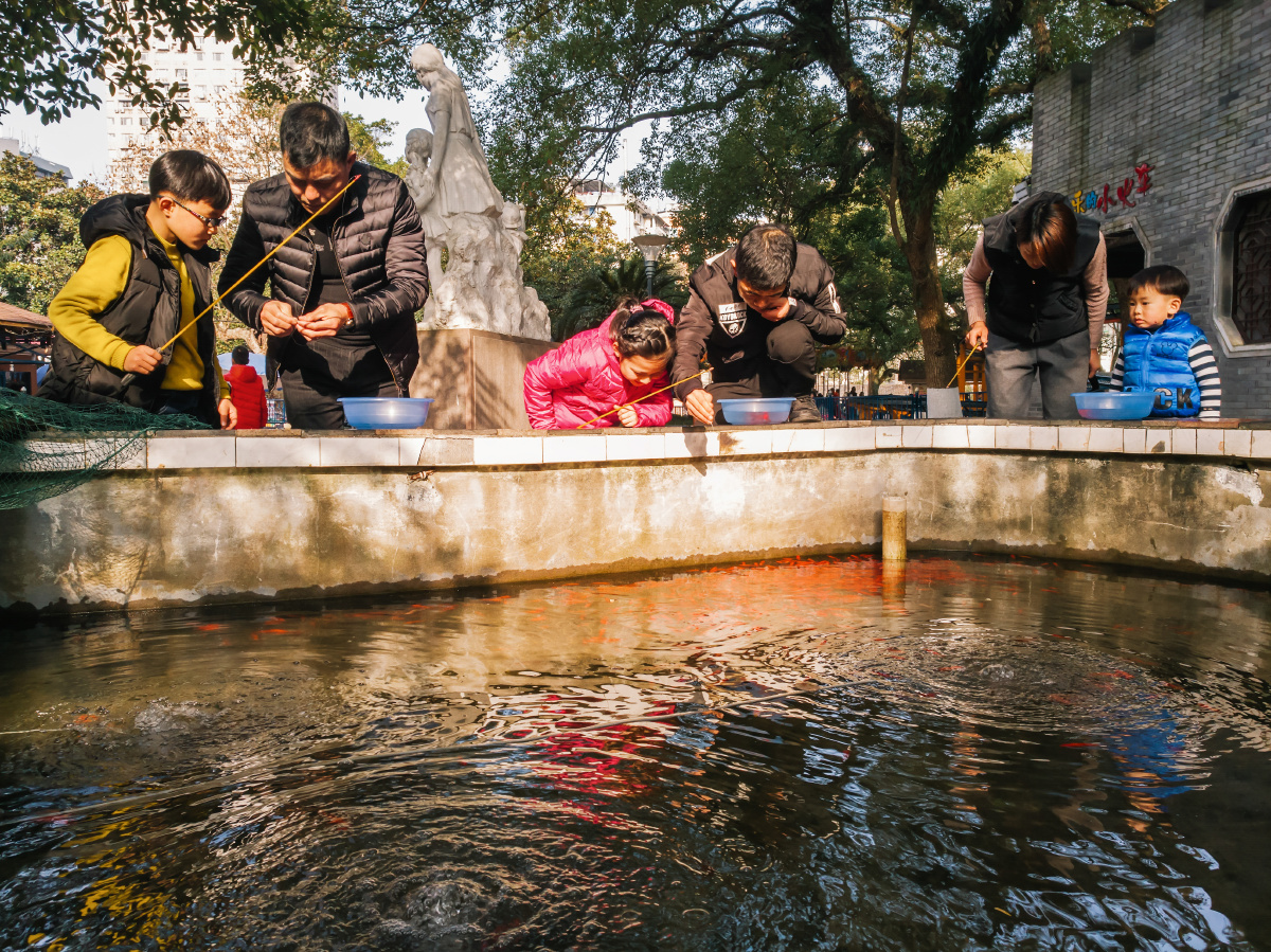 拍摄于温州中山公园,父母带着孩子们聚精会神的钓着水池里的金鱼.