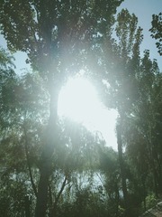 1489562