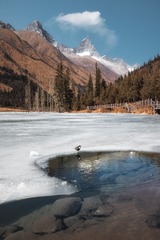 冰雪奇景中独饮