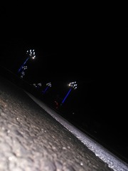1320413