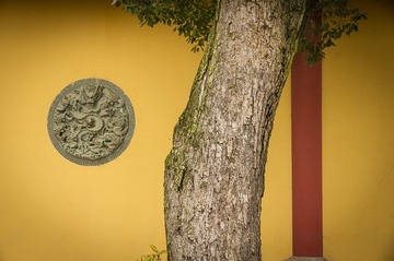 _DSC3348