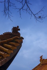 _DSC5004