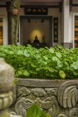 _DSC3117 