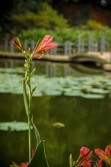 _DSC3424