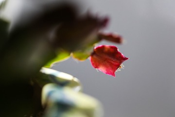 109B4EA4-2A99-4BBA-B67A-2DF871FA5D2A/L0/001