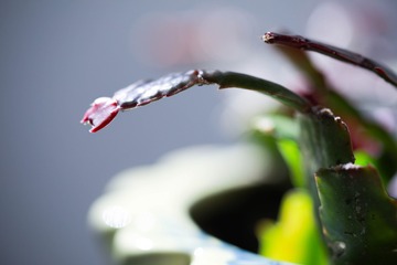 304E7CA0-10C6-4627-A68E-8991F77236F9/L0/001