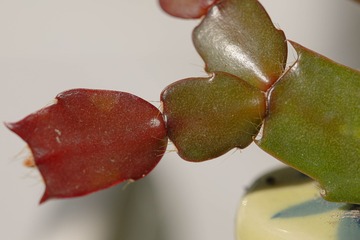 D86AEB1C-A16C-43D6-8AD4-AB923F225495/L0/001