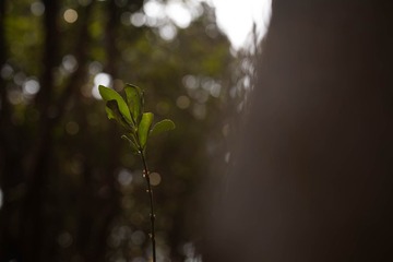 BA8080E6-0497-4C72-ABCB-CEEF2BBCDBD0/L0/001
