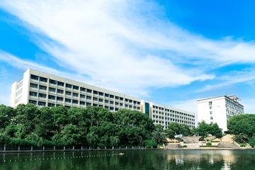 _DSC3203