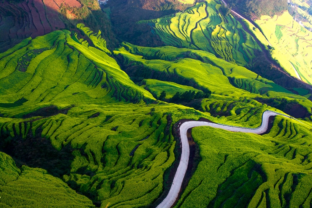 金色原野东方花园