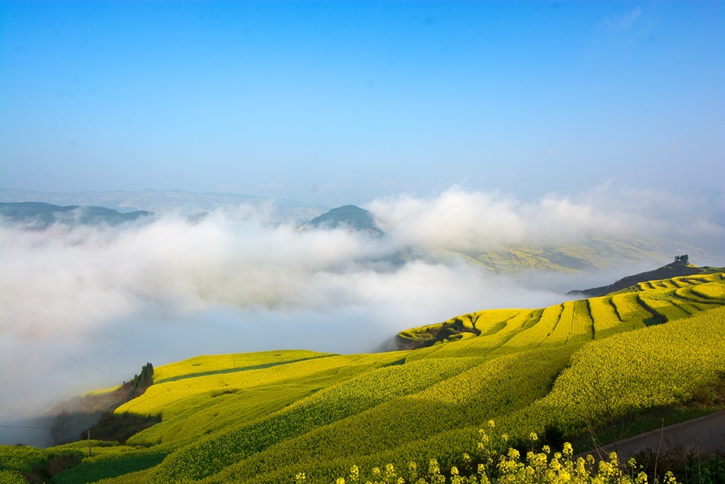 金色原野东方花园