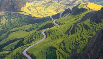 _DSC0393_
