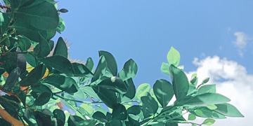 987583