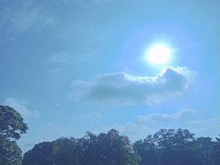 1033050