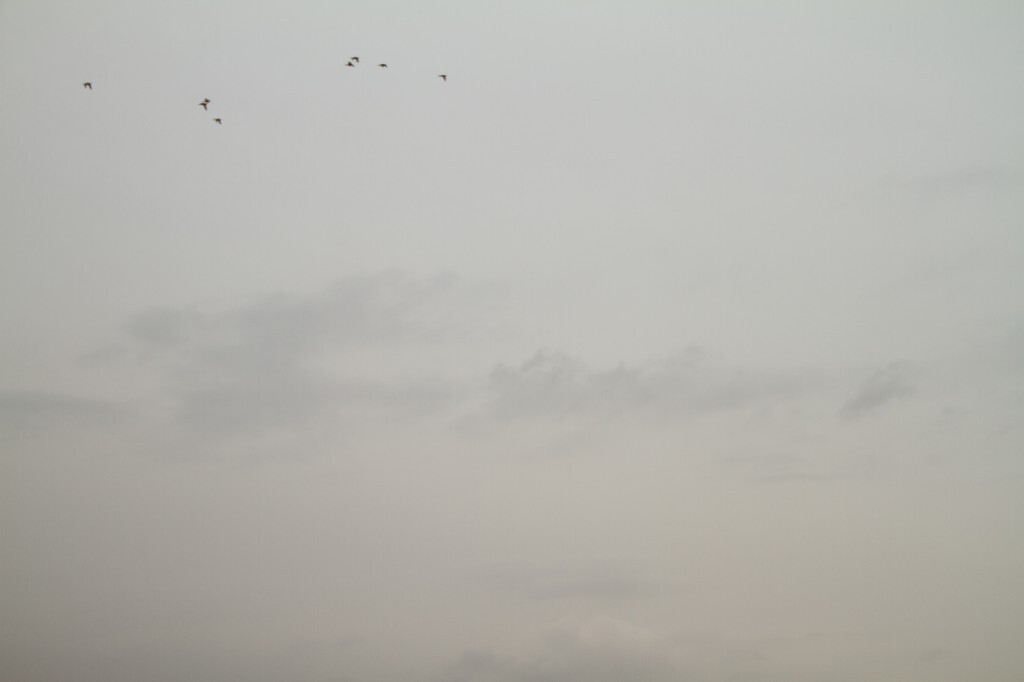 八仙过海