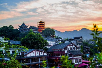 _DSC9582
