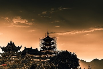 _DSC0038g