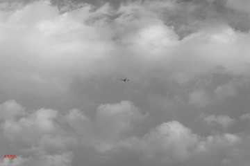 _DSC1716g