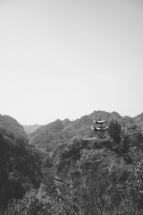 L1006274