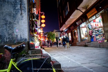 _DSC2393