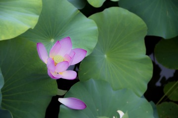 减轻细节清晰度