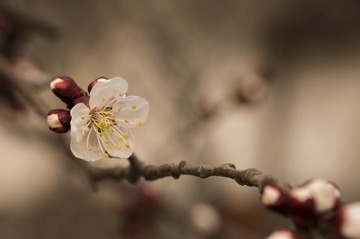 静默