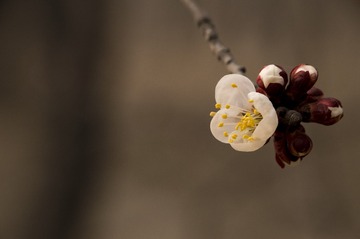 静默1