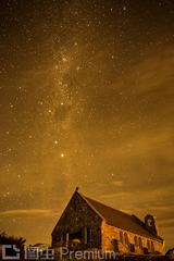 _DSC3685-1