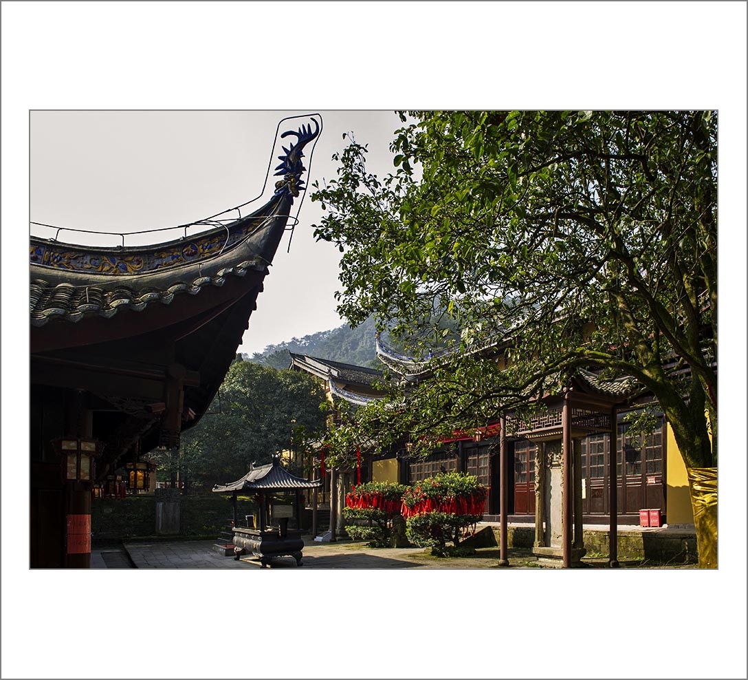 初冬游缙云山---缙云寺(二) - 西南阿s - 图虫