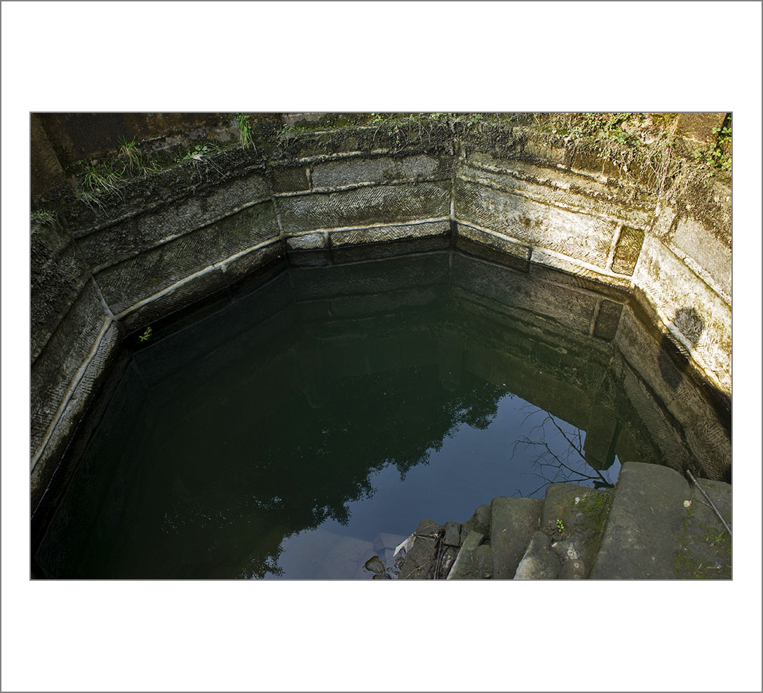 初冬游缙云山八角井与冯时行