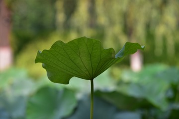 1A07E739-C202-4FAD-AD7A-AE3B152F1689/L0/001